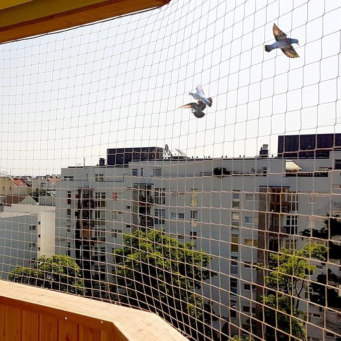 Pigeon Nets Installation in Chennai